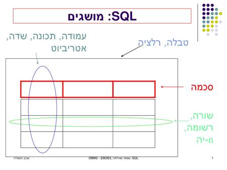 SQL: מושגים עמודה, תכונה, שדה, אטריביוט טבלה, רלציה סכמה