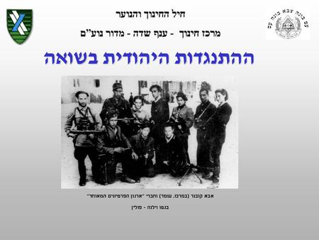 ההתנגדות היהודית בשואה