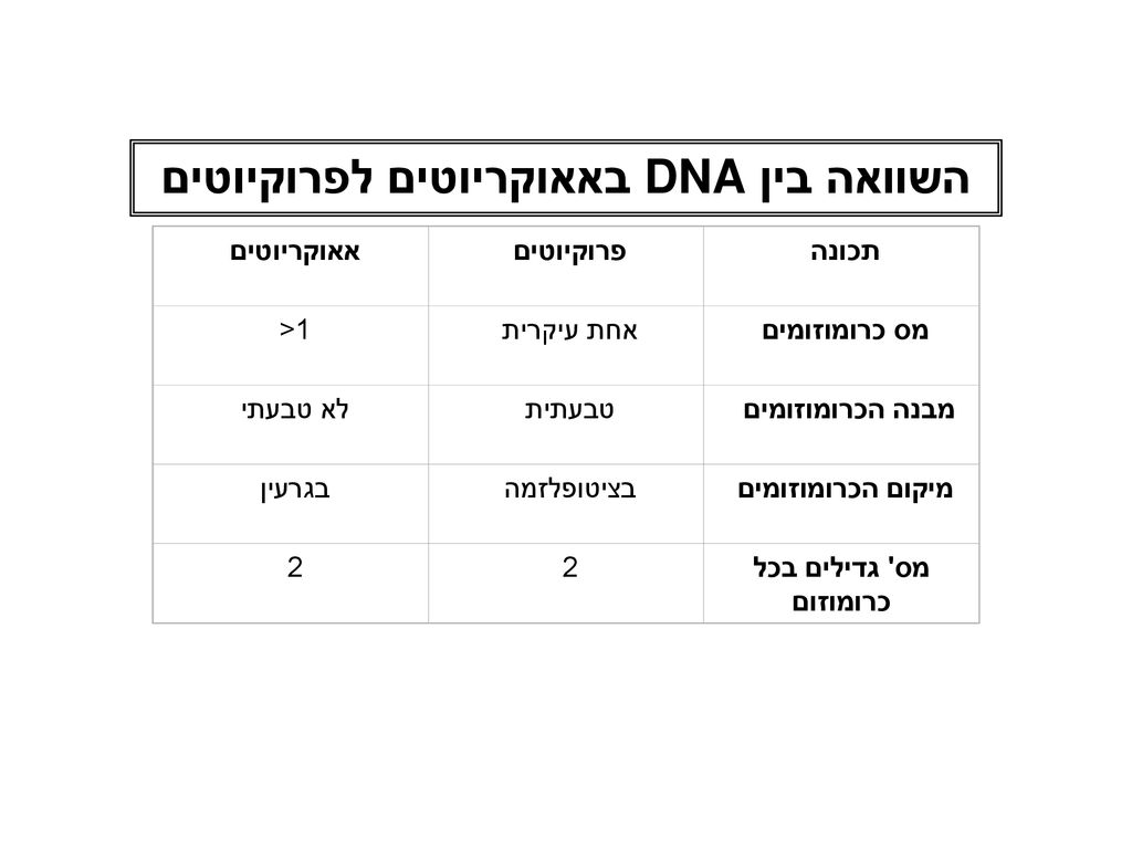 השוואה בין DNA באאוקריוטים לפרוקיוטים