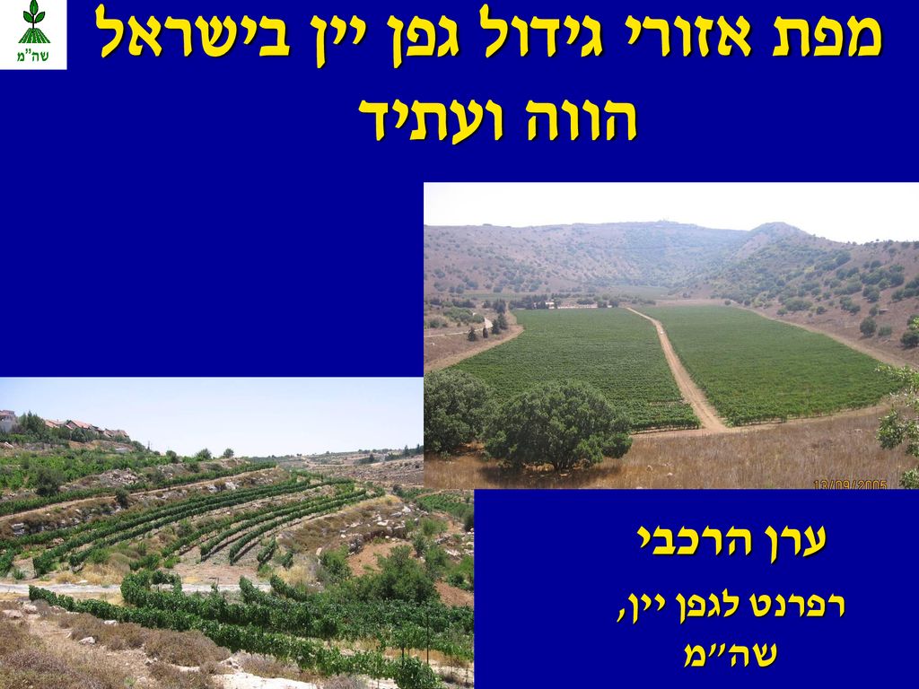 מפת אזורי גידול גפן יין בישראל הווה ועתיד