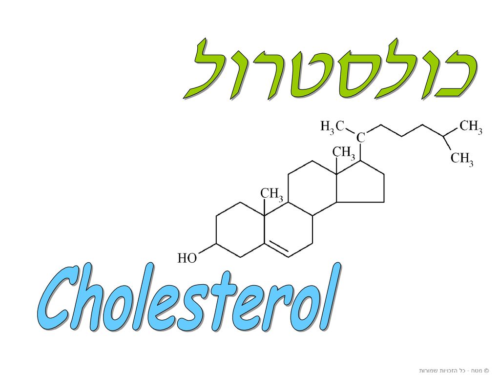 כולסטרול Cholesterol