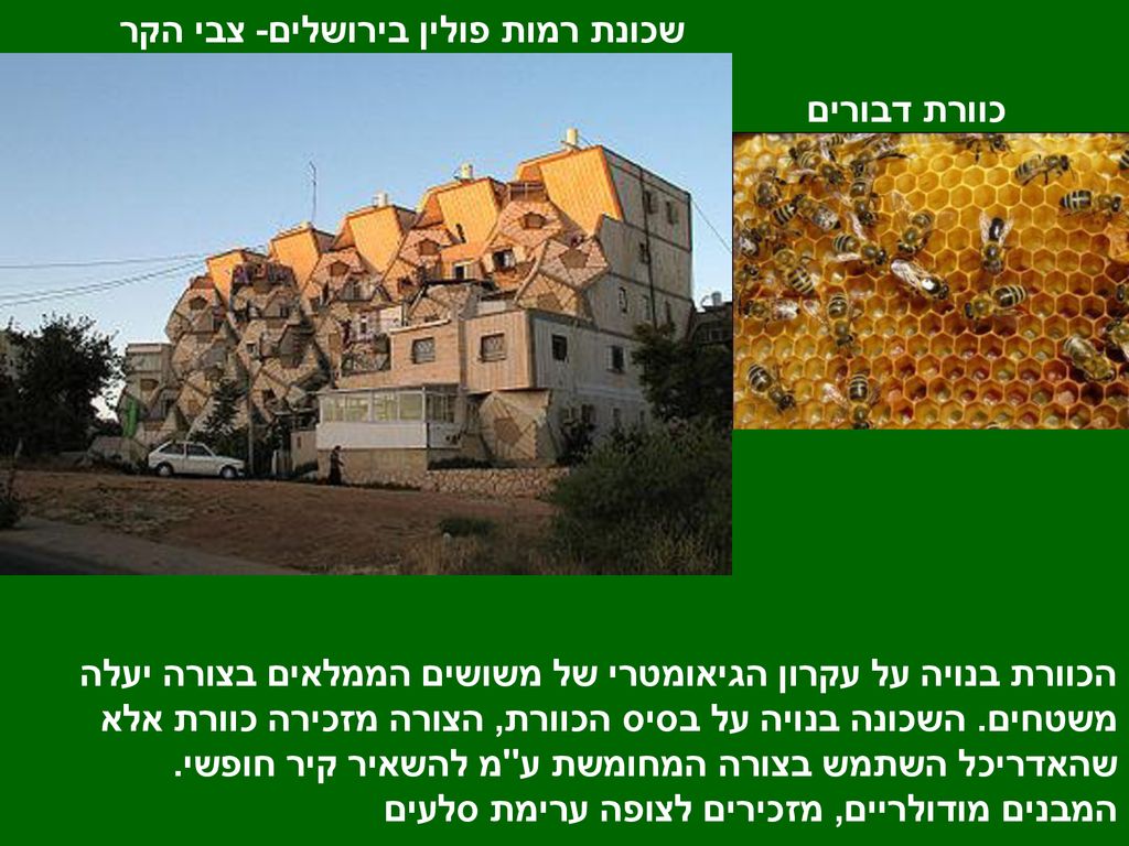 שכונת רמות פולין בירושלים- צבי הקר