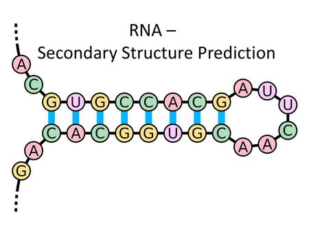 RNA – Secondary Structure Prediction