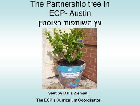 The Partnership tree in ECP- Austin עץ השותפות באוסטין