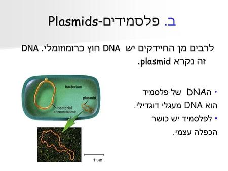 ב. פלסמידים-Plasmids לרבים מן החיידקים יש DNA חוץ כרומוזומלי. DNA זה נקרא plasmid. ה DNA של פלסמיד הוא DNA מעגלי דוגדילי. לפלסמיד יש כושר הכפלה עצמי.