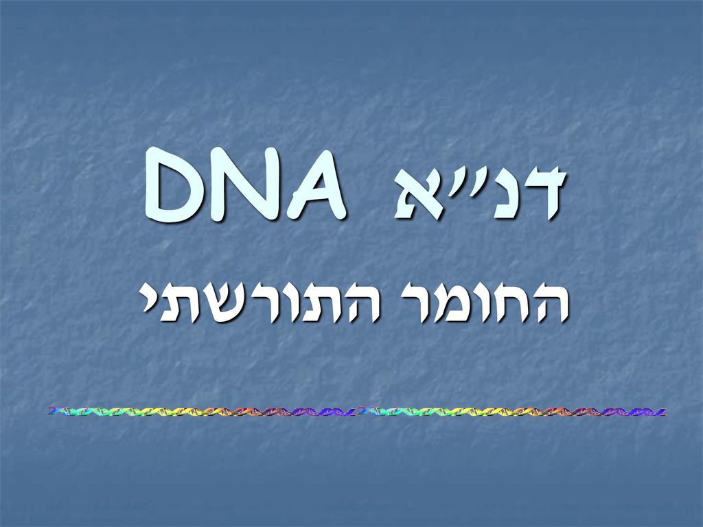 דנ א DNA החומר התורשתי
