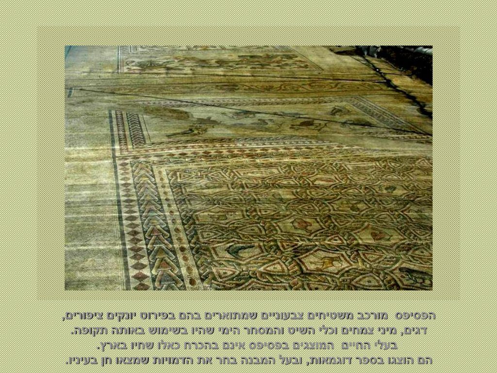 הפסיפס מורכב משטיחים צבעוניים שמתוארים בהם בפירוט יונקים ציפורים, דגים, מיני צמחים וכלי השיט והמסחר הימי שהיו בשימוש באותה תקופה.