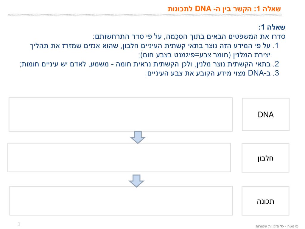 שאלה 1: הקשר בין ה- DNA לתכונות