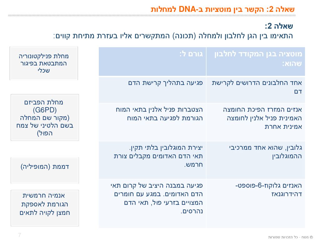 שאלה 2: הקשר בין מוטציות ב-DNA למחלות