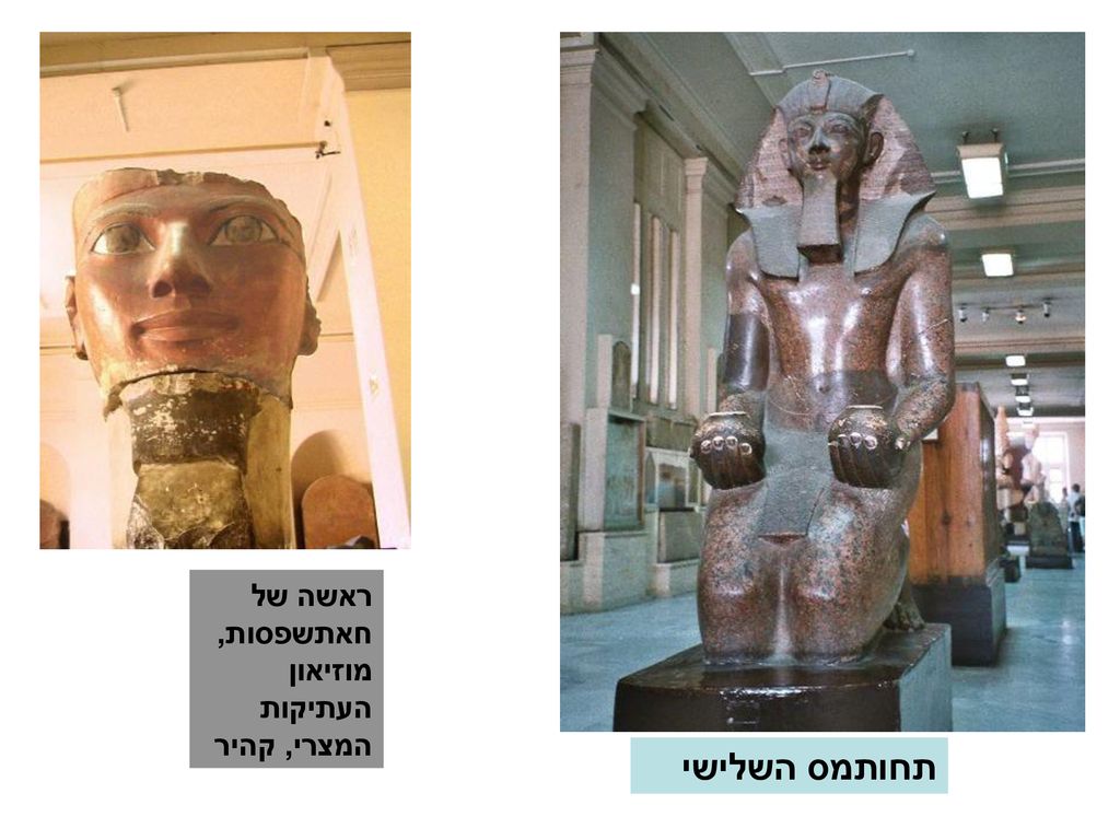 ראשה של חאתשפסות, מוזיאון העתיקות המצרי, קהיר